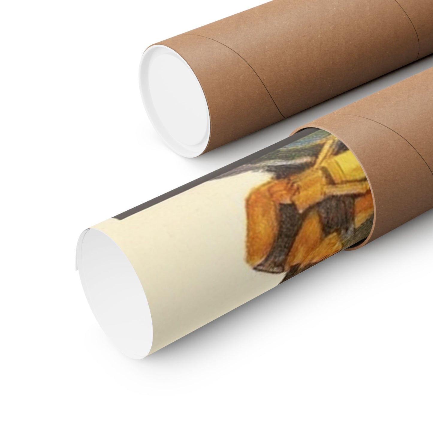 The Young Master | Vintage Action Movie Poster – 1980