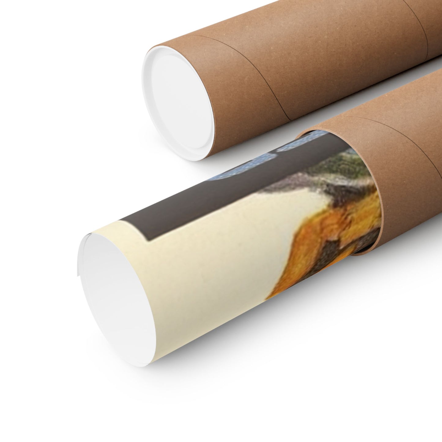 The Young Master | Vintage Action Movie Poster – 1980